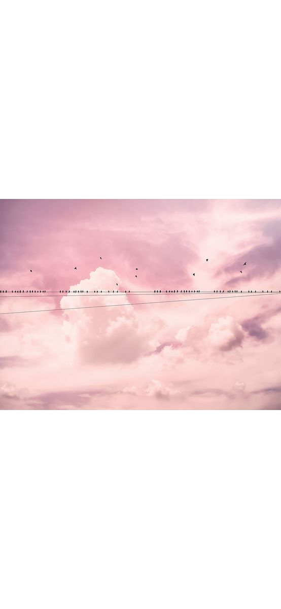 Fotototapet Cloud Wire, Komar, roz, 400x250 cm
