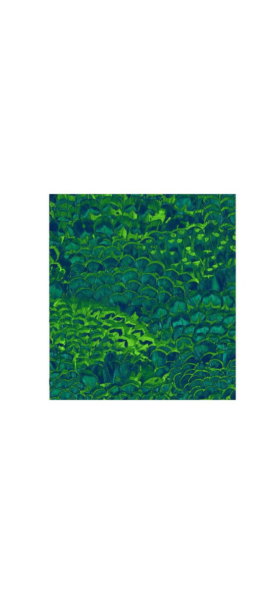 Fototapet Feathers, Komar, verde, 200x250 cm