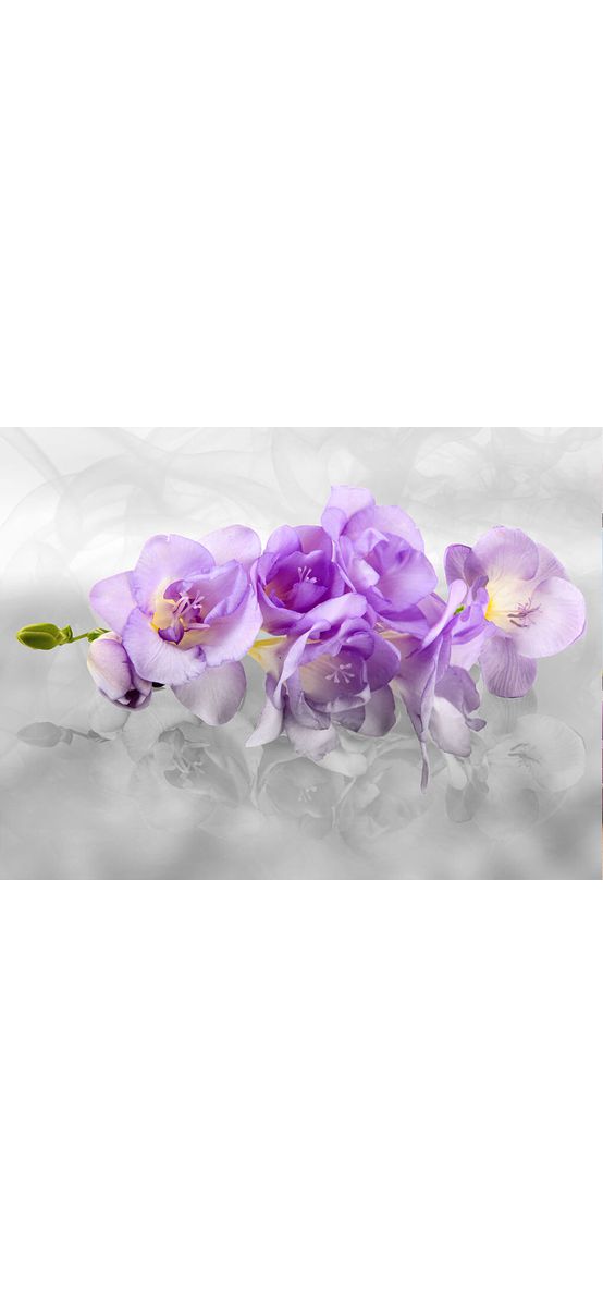 Fototapet floral 3D orhidee mov