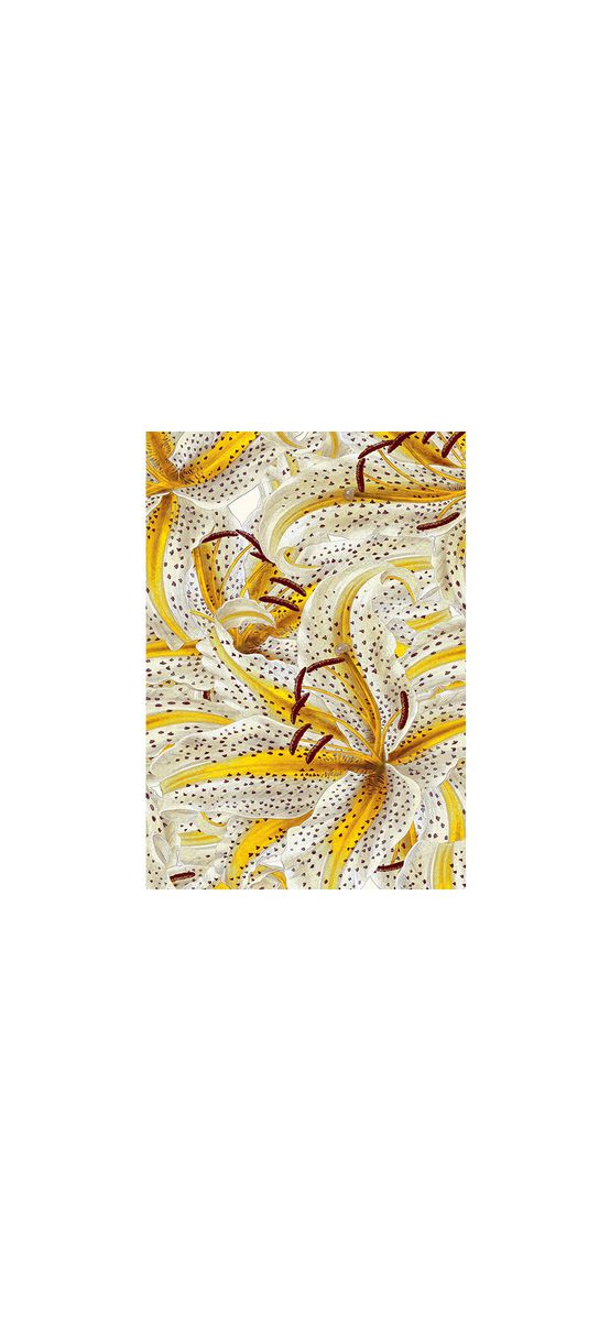 Fototapet floral galben, Marburg Sayuri, 159x270 cm