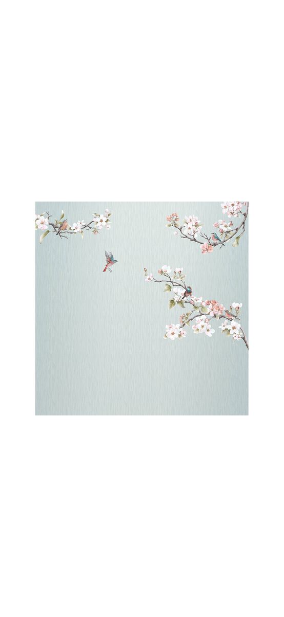 Fototapet floral Apple Bloom, Komar, crengi înflorite şi păsări, 250x250 cm