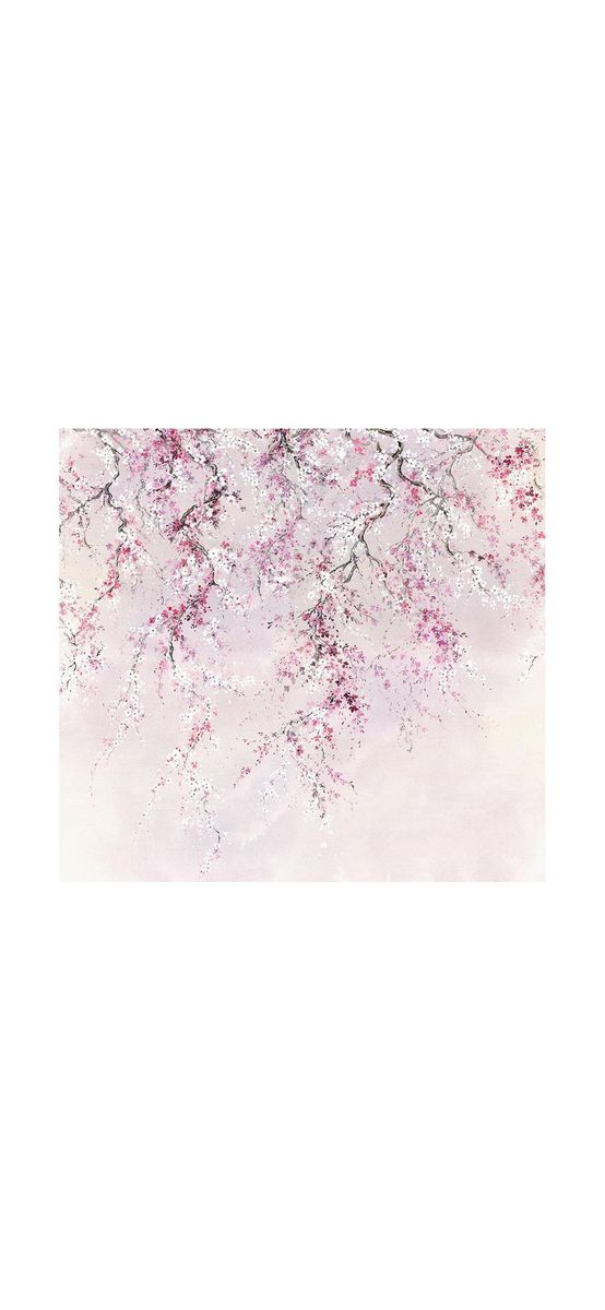 Fototapet floral roz Cherry Blossom, Komar, print digital, 300x280 cm