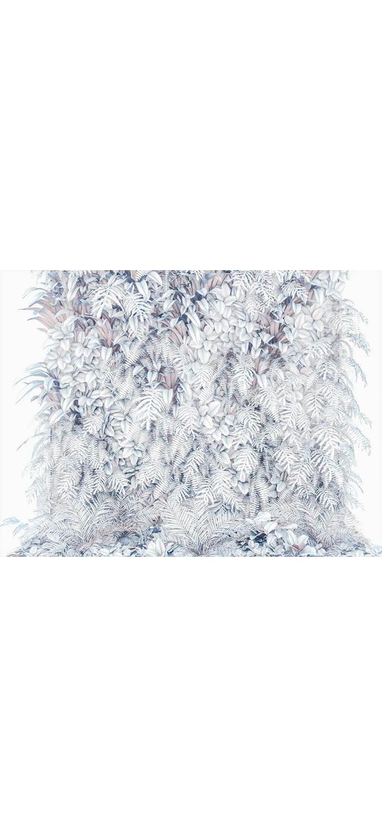 Fototapet floral gri, Komar Vertical Garden, dimensiuni 368x254 cm