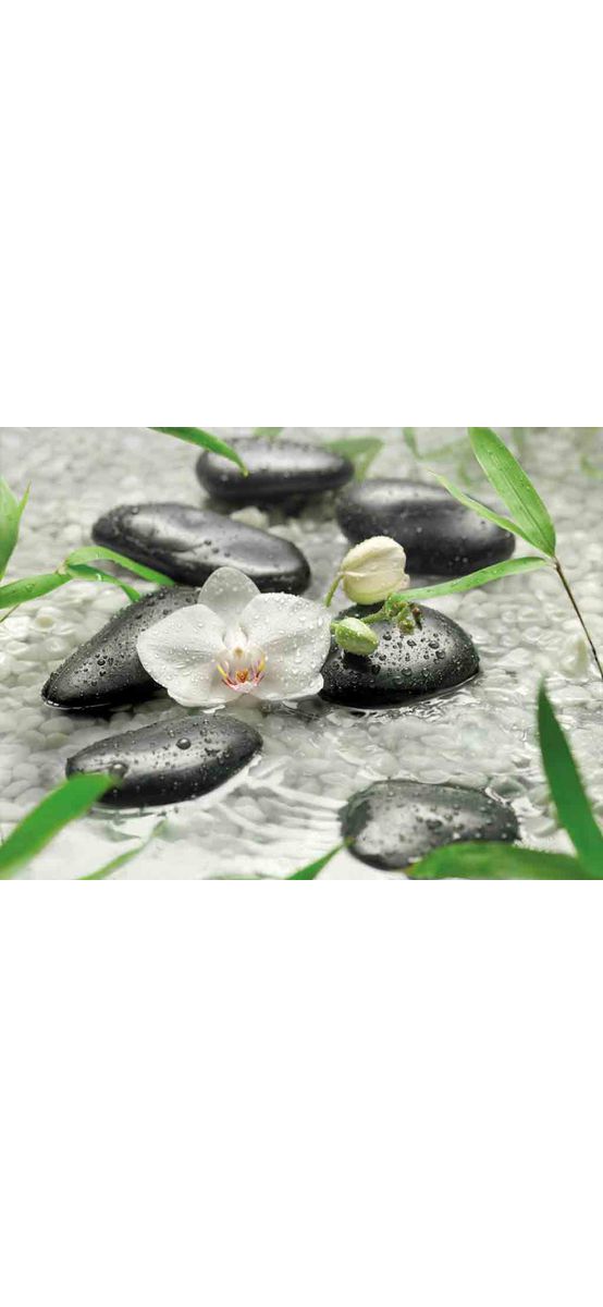 Fototapet floral Pure, Komar, imagine cu orhidee albă, 368x254 cm