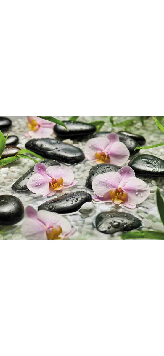 Fototapet floral orhidee, Komar Wellness, dimensiuni 254 x 184 cm