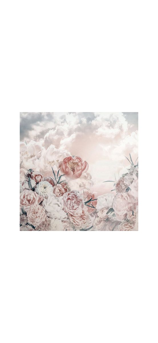 Fototapet floral Blossom Clouds, Komar, nuanţe pastel, 250x250 cm