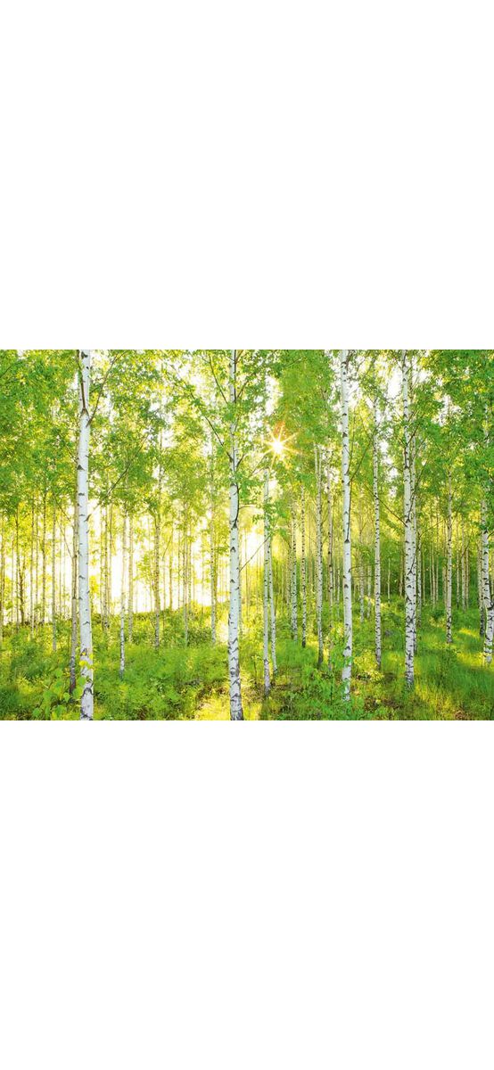 Fototapet peisaj Sunday, Komar, imagine cu copaci, verde, 368x254 cm
