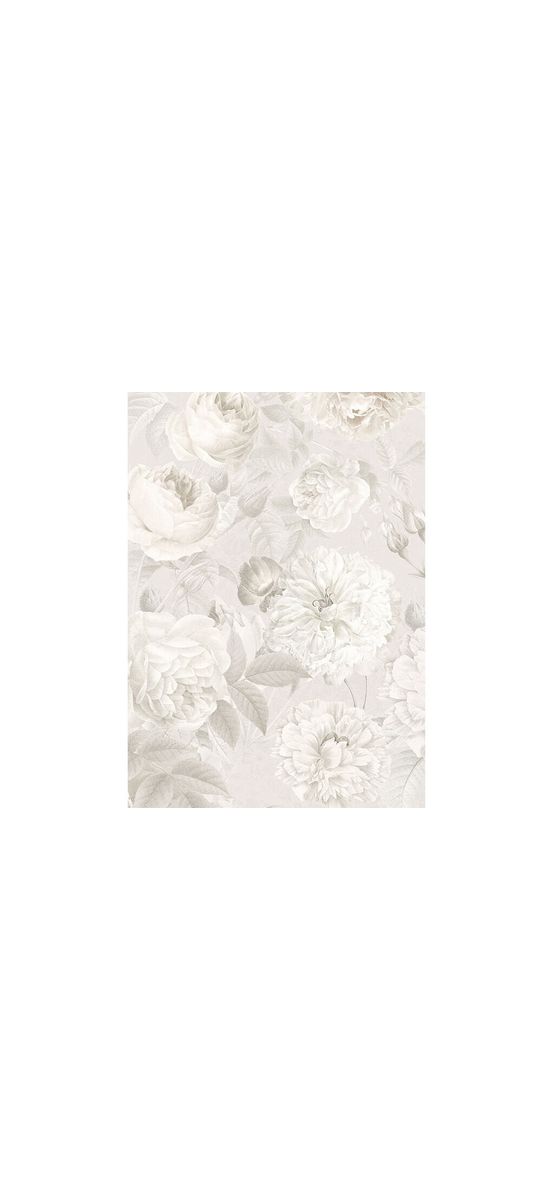 Fototapet trandafiri Nuance, Komar, culoare crem, dimensiune fototapet 184x248 cm