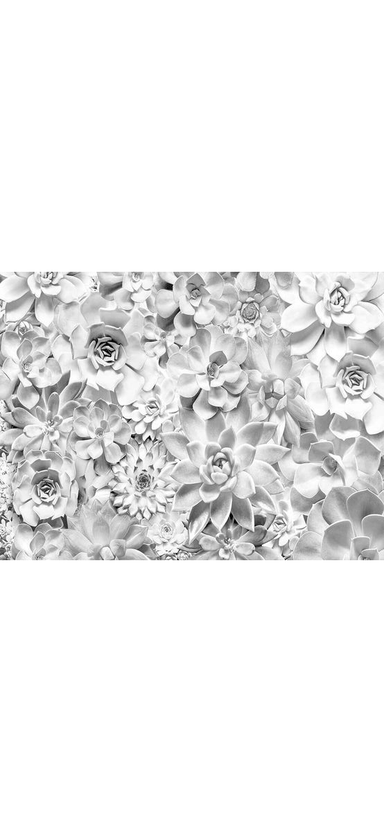 Fototapet floral gri Shades, Komar, 400x250 cm