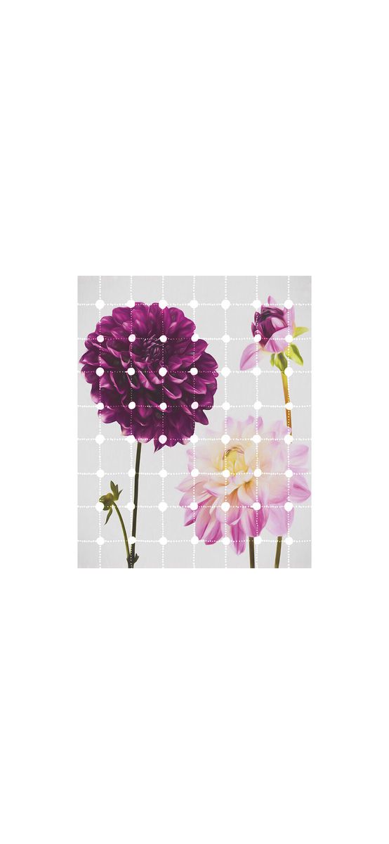 Fototapet floral Flowers and Dots, Komar, culoare mov, dimensiune fototapet 200x250 cm