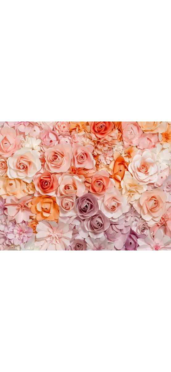 Fototapet floral, WG, Flowers, multicolor, 366x254 cm