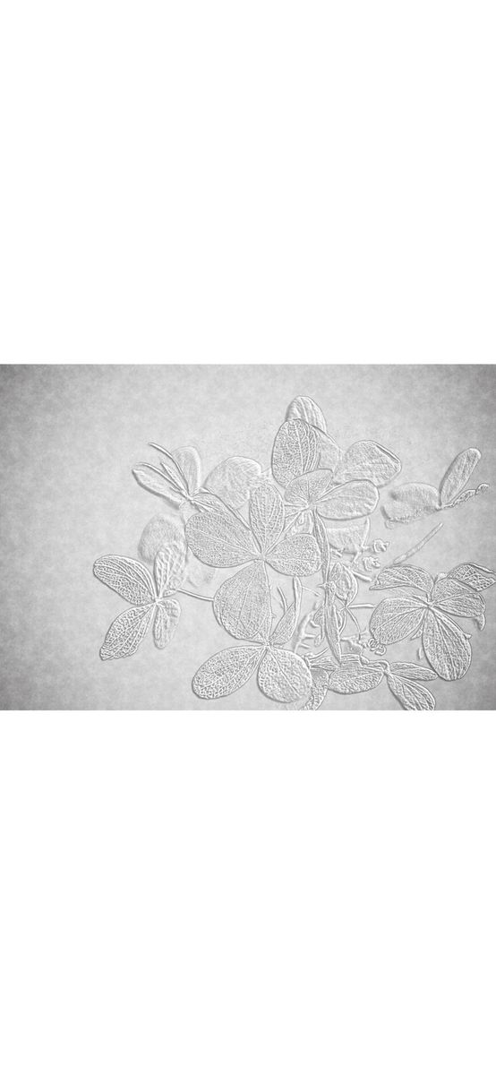 Fototapet floral gri, Fall Leaves, 400x260 cm