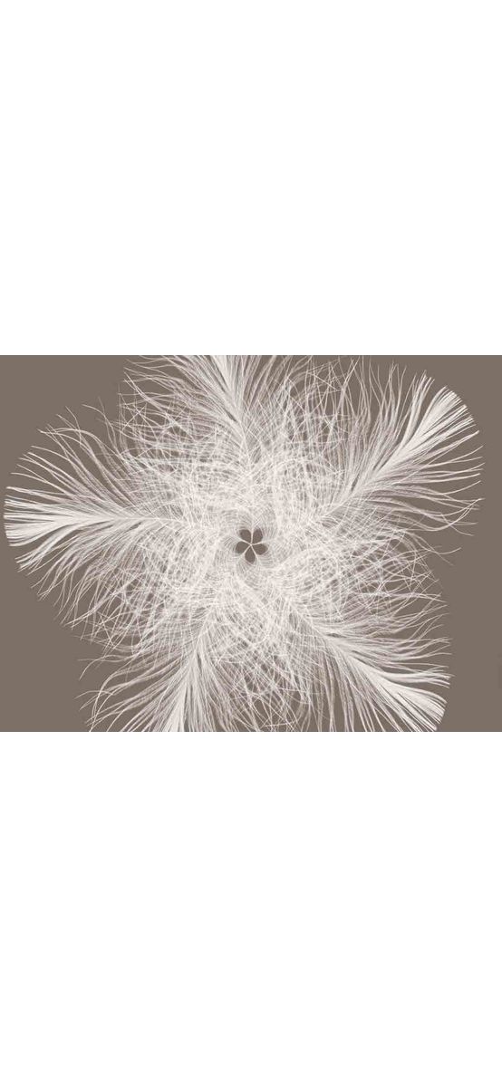 Fototapet cu model abstract Federstern, Komar, decoraţiune perete dormitor, 368 x 248 cm