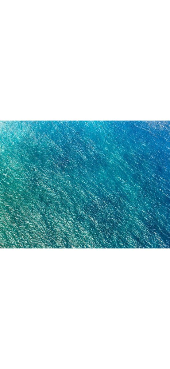 Fototapet Blaupause, Komar, albastru, 400x250 cm