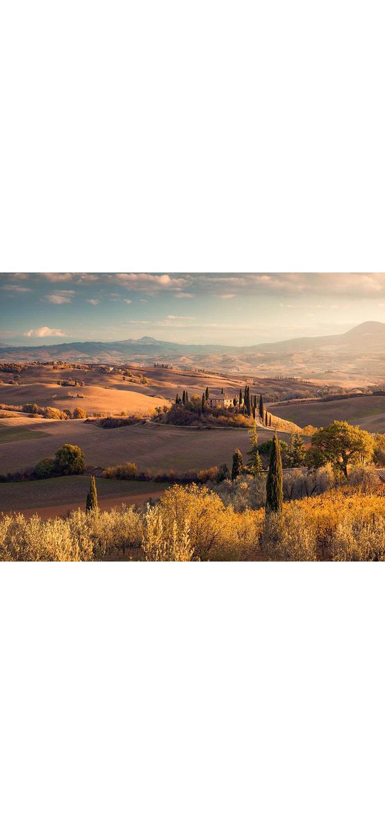 Fototapet peisaj Toscana Gold, Komar, maro, 400x250 cm