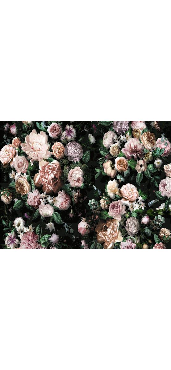 Fototapet Victoria Black, Komar, imprimeu floral colorat pe fundal negru, 400x250 cm