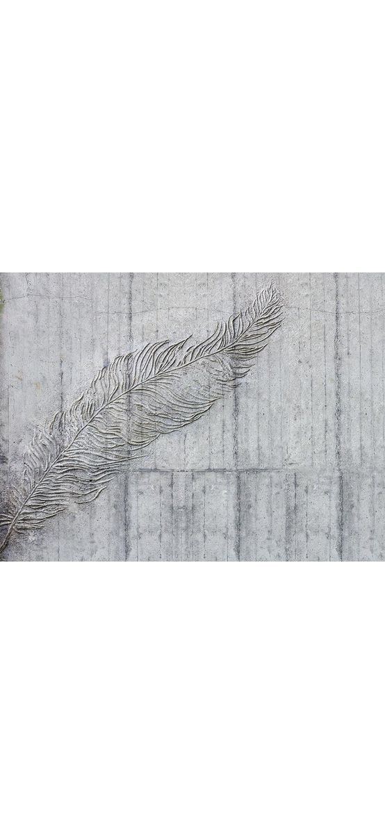 Fototapet modern Betonfeder, Komar, gri beton cu pană artistică, 300x250 cm
