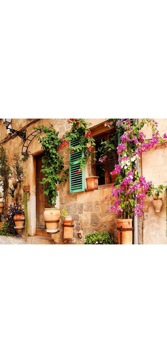 Fototapet Street Garden, Dimex, multicolor, 375x250 cm