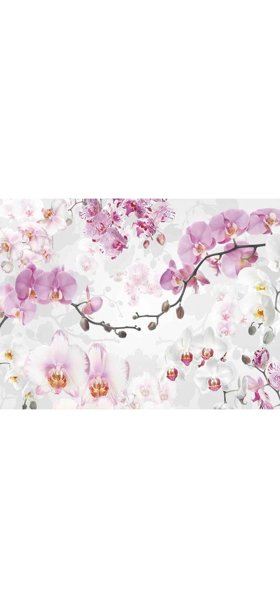Fototapet floral Allure, Komar, model orhidee mov, 400x260 cm