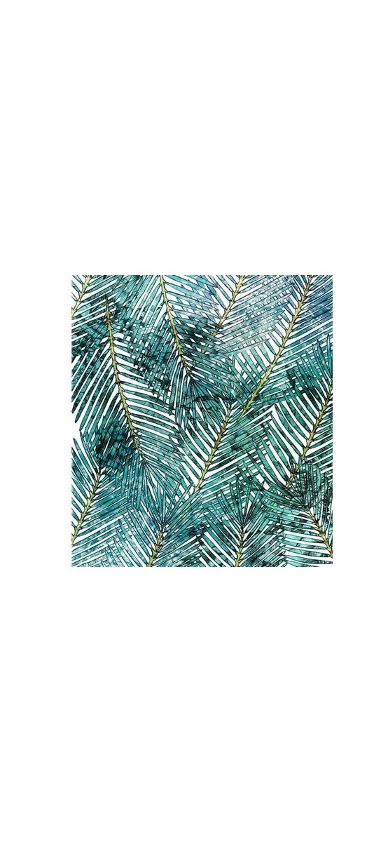 Fototapet floral Palm Canopy, Komar, imprimeu frunze, 200x250 cm