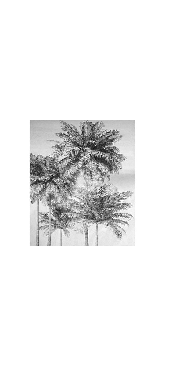 Fototapet Cocco, Komar, model palmieri, gri, 200x250 cm
