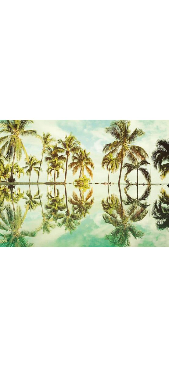 Fototapet peisaj tropical Key West, Komar, verde, 400x250 cm