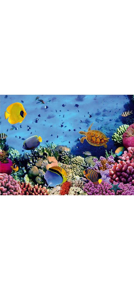 Fototapet peisaj marin Ocean