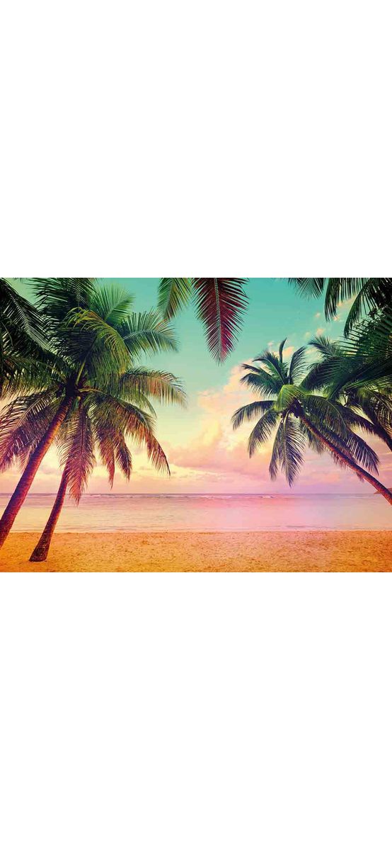 Fototapet peisaj Miami, Komar, imagine cu palmieri, 368x254 cm