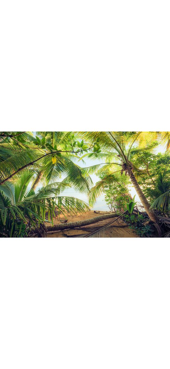 Fototapet peisaj plajă cu palmieri, Komar Piratenversteck, vlies, 450x280cm