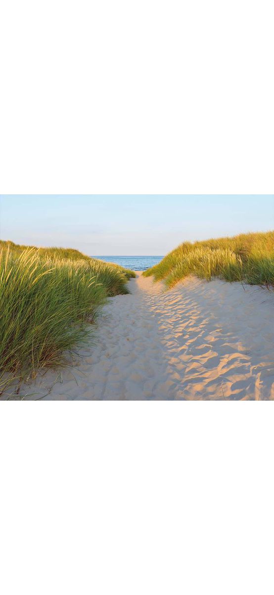 Fototapet plajă Sandy Path, Komar, decorațiune cu peisaj multicolor, fototapet 368x254 cm