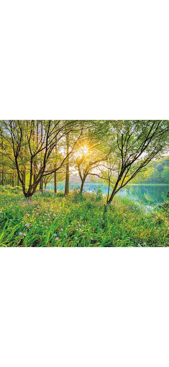 Fototapet peisaj Spring Lake, Komar, imagine cu natura, 368x254 cm