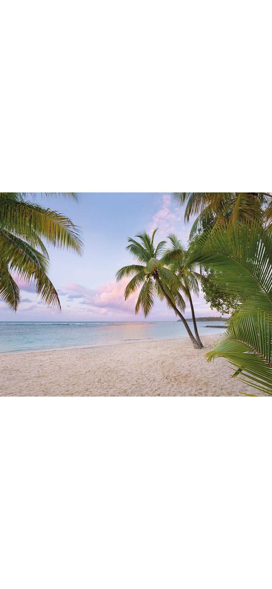 Fototapet Paradise Morning, Komar, peisaj plajă cu palmieri, 368x248 cm