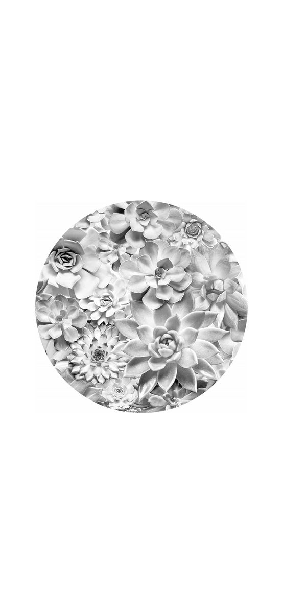Fototapet rotund Echeveria, Komar, model floral gri, autoadeziv, 125 cm diametru