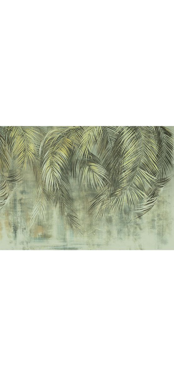 Fototapet Palm Fronds, Komar, cu frunze de palmier, 350x250 cm