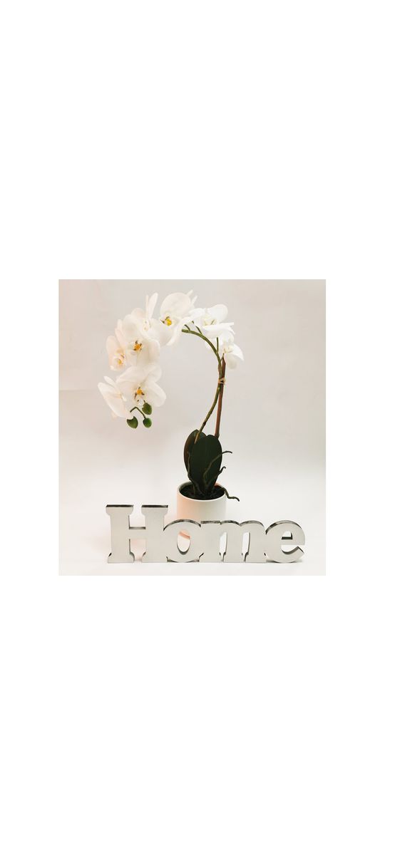 Pachet Orhidee albă şi decoraţiune Home