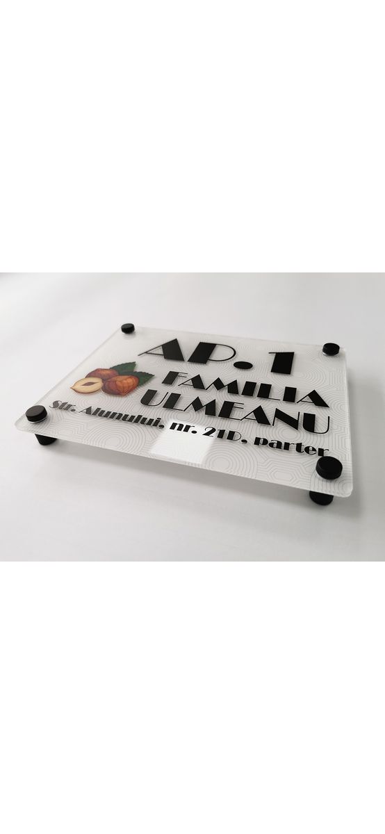 Plăcuță personalizată la comandă cu adresa sau afacerea ta cu logo, text sau grafică, printare UV, distanțiere incluse