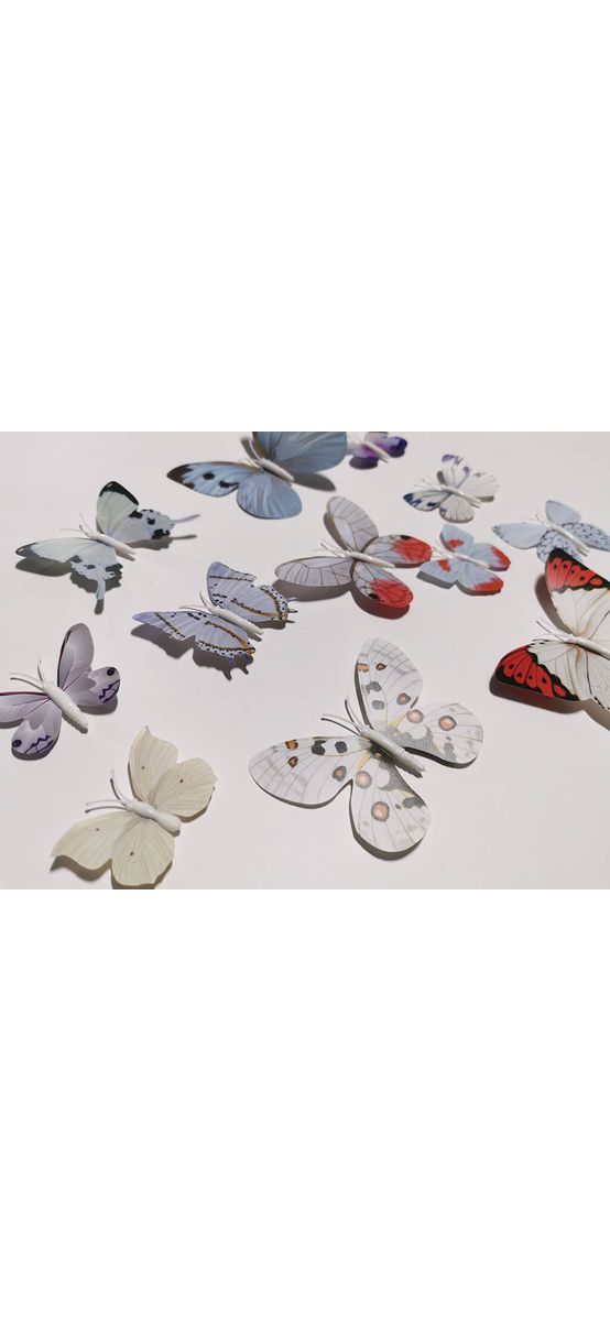 Set 12 stickere 3D Fluturi gri