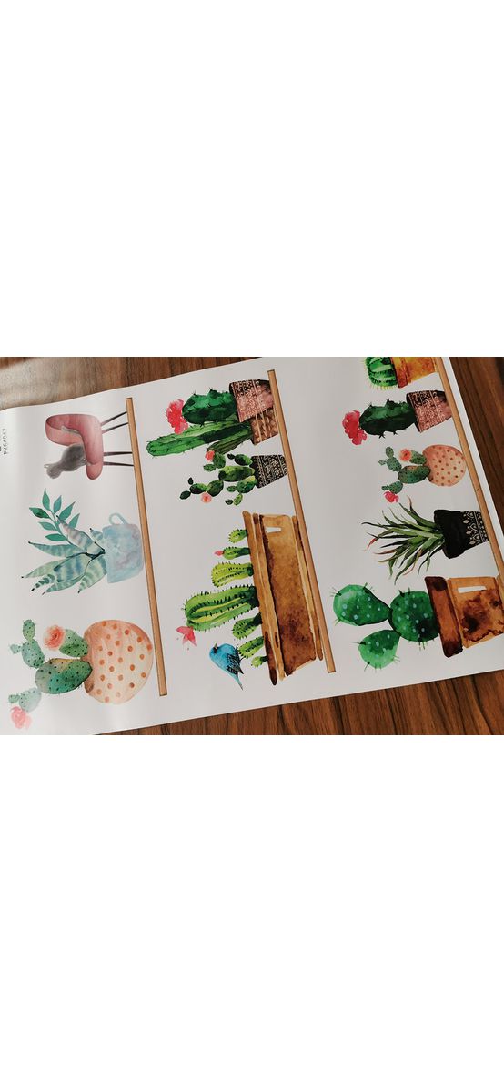 Stickere flori, Cactuşi în ghivece