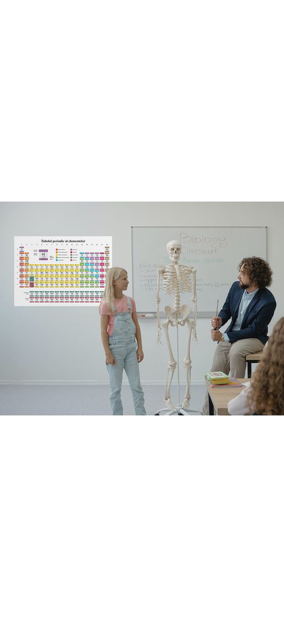 Sticker Tabelul periodic al elementelor, Folina, multicolor, planșă mare de 100x72 cm, racletă de aplicare inclusă