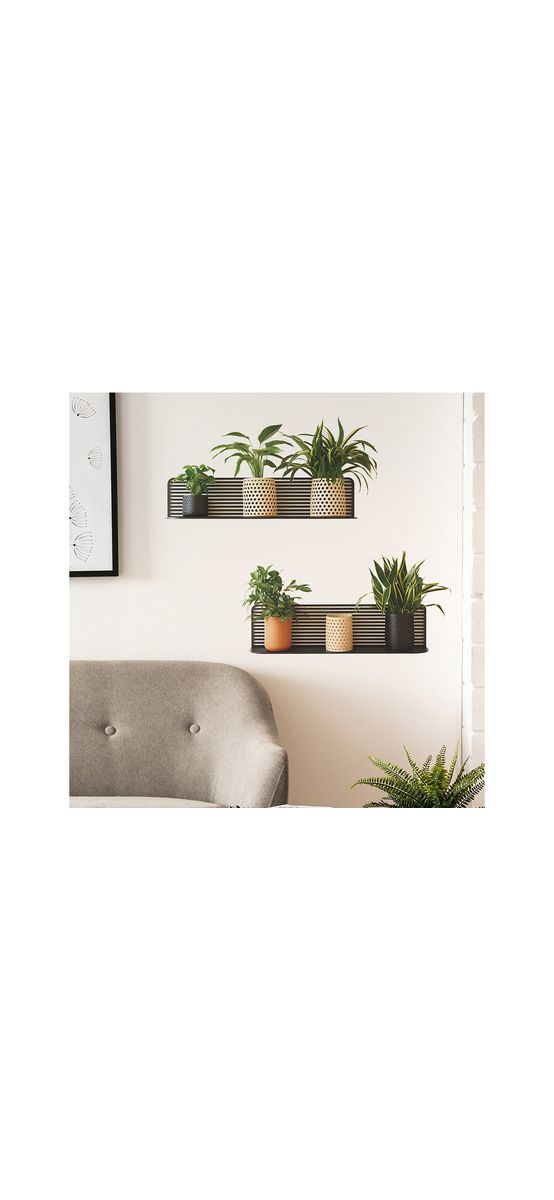 Stickere decorative Poliţe orizontale cu plante minimaliste – pentru holuri și spații mici, 2 planşe de 30x60 cm