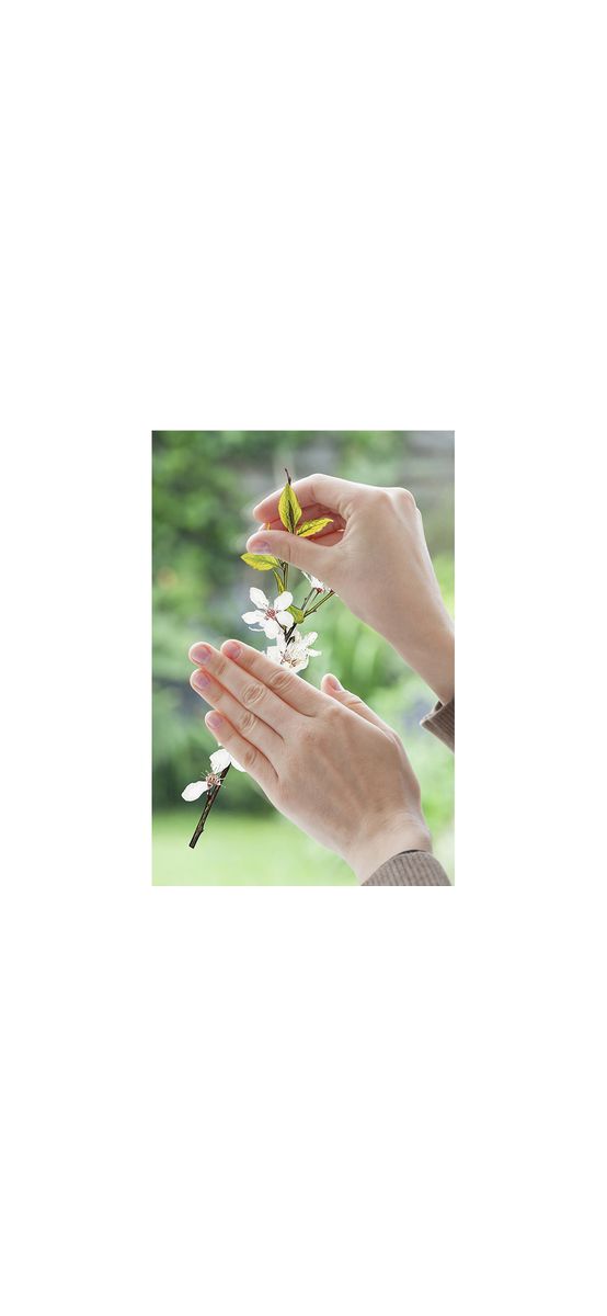 Stickere geam Cheerful, Komar, decoraţiune cu flori şi fluturi, multicolor