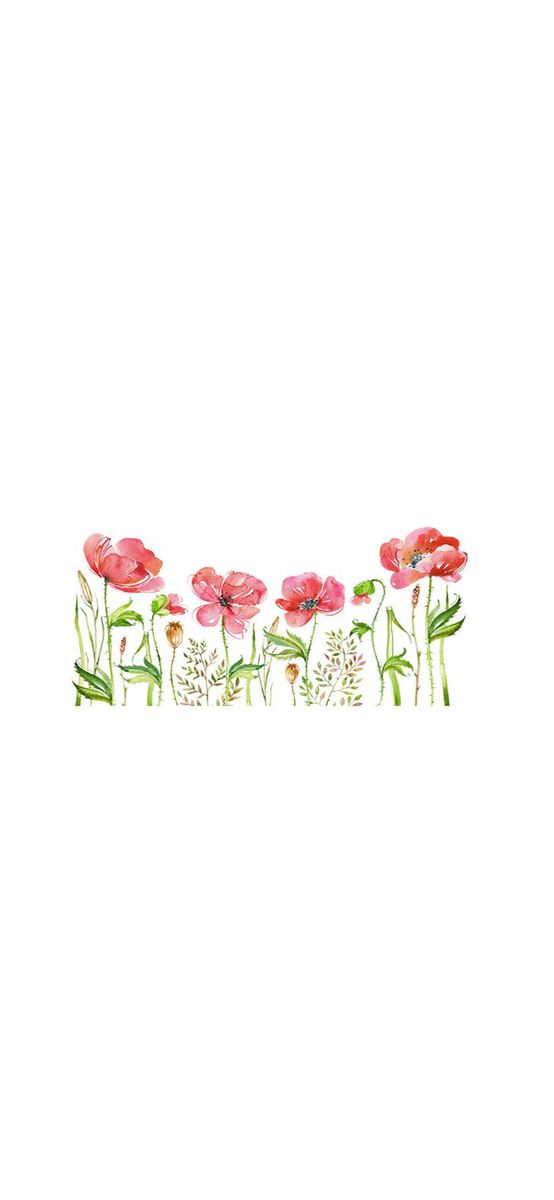Stickere flori, Folina, maci roşii watercolor