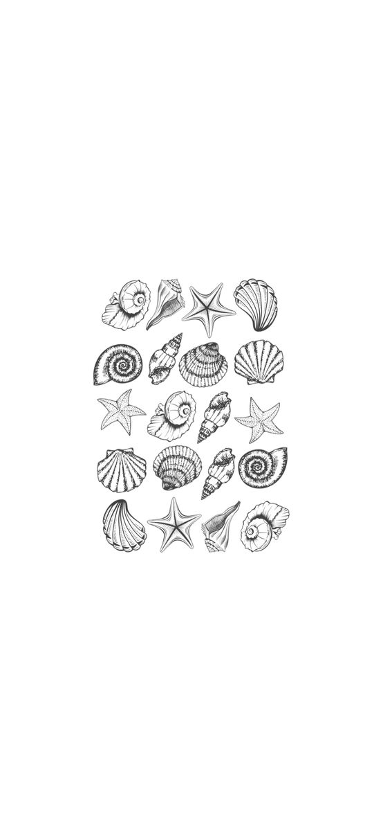 Set 20 stickere pentru mascarea găurilor din faianță, scoici negre