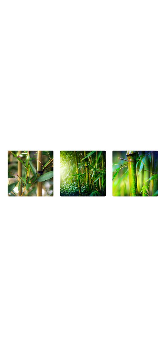 Set 3 tablouri Bambus, AGDesign,verde, 29x29 cm