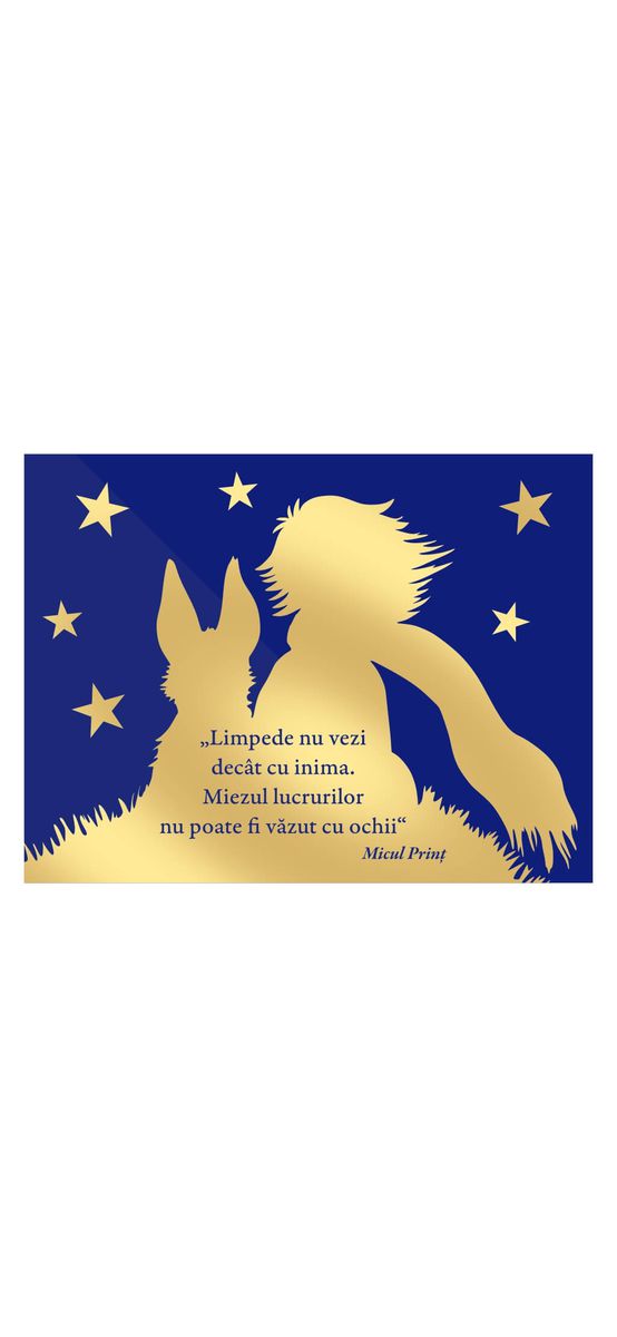 Tablou mesaj Micul Prinţ, Folina, decorațiune cu text, dimensiune tablou 34x25 cm