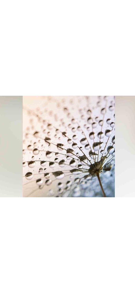 Tablou After the rain, Eurographics, din sticlă, 50 x 50 cm