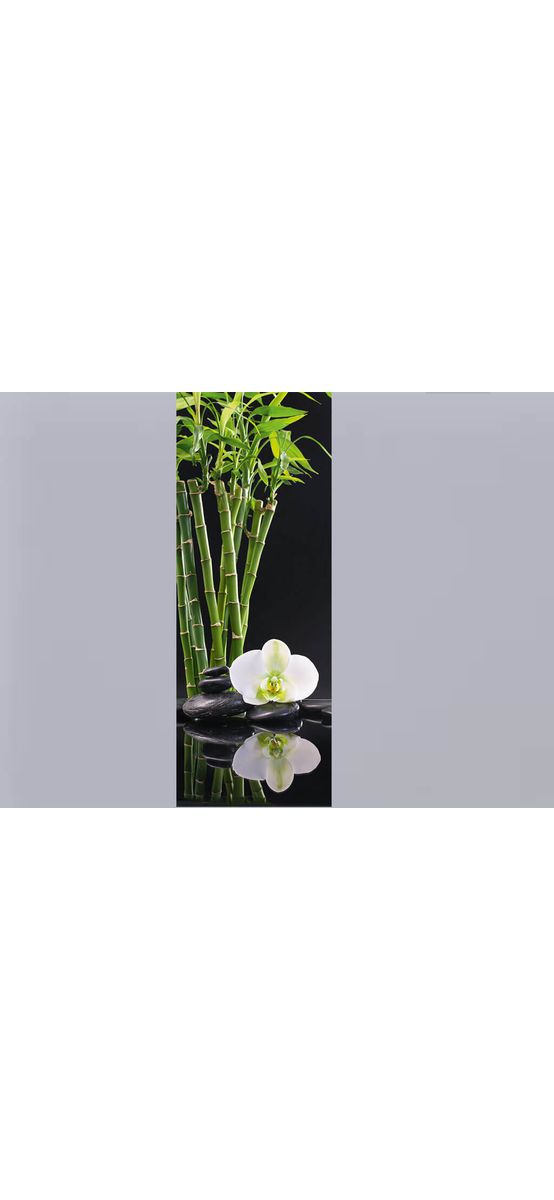 Tablou sticlă orhidee Reflection, EUROGRAPHICS, decorațiune de culoare albă, tablou cu dimensiunea 30x80 cm