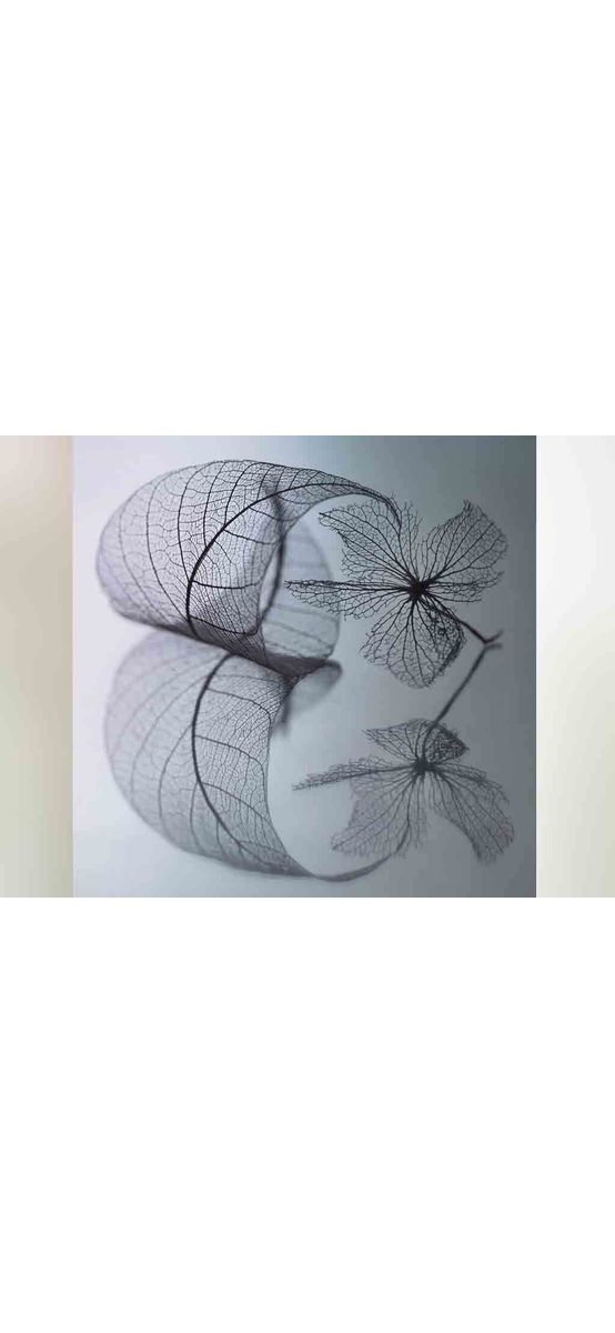 Tablou Story of Leaf, Eurographics, din sticlă, 20 x 20 cm