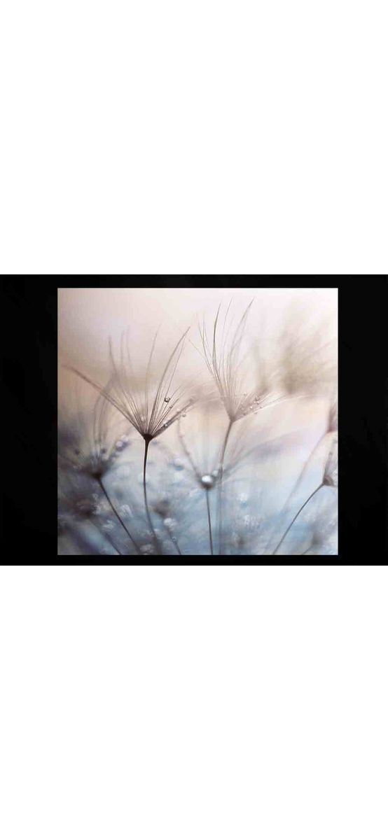 Tablou sticlă Teardrops