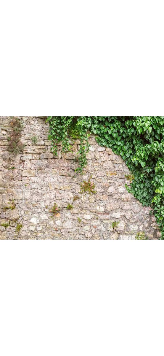 Fototapet autoadeziv, Dimex Stone Wall, zid piatră cu frunze verzi, 375x250 cm